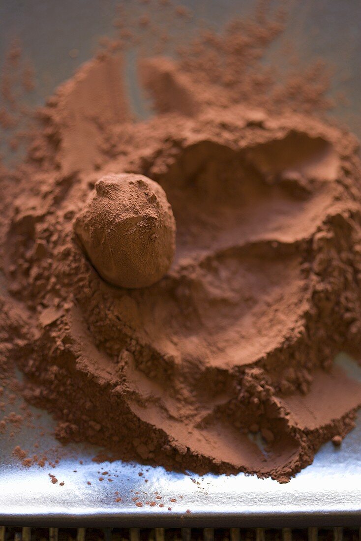 Ein Schokoladentrüffel in Kakaopulver