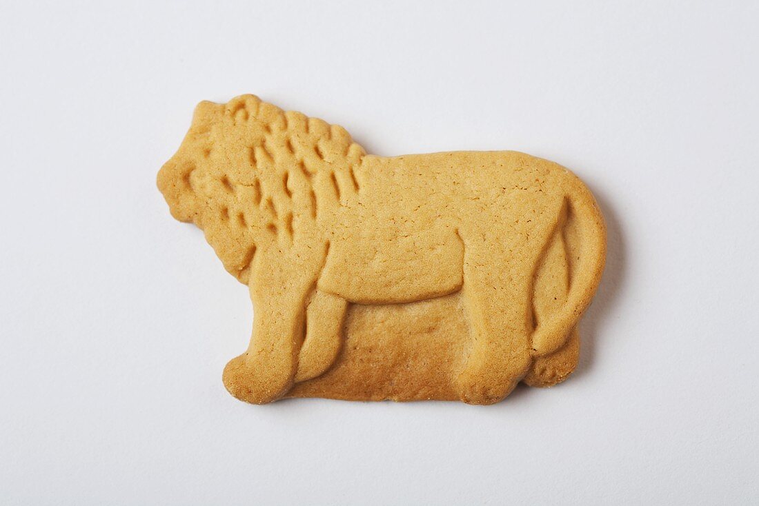 Lion Animal Cracker