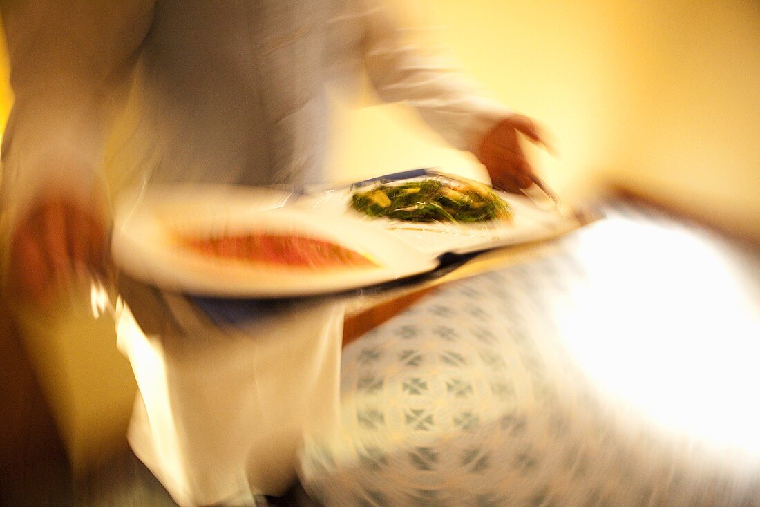 Kellner serviert Thunfisch mit Rucolasalat