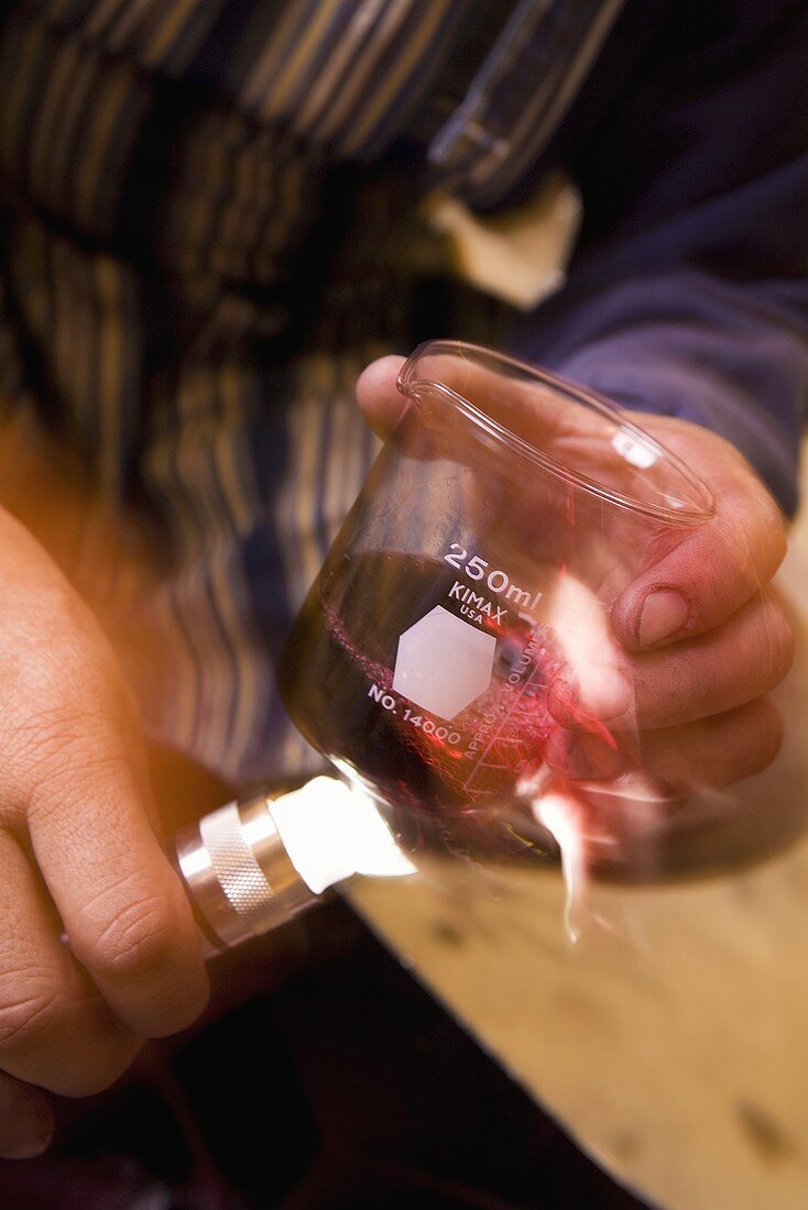 Checking Wine for Sediment