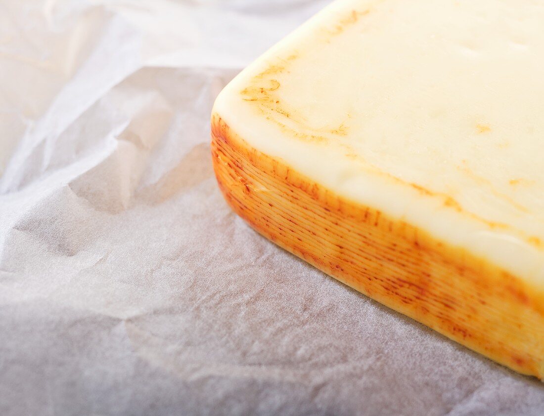 Muenster Cheese on Paper