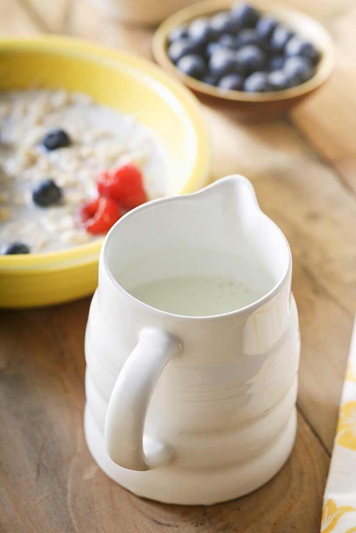 Fettfreie Milch im Krug, Haferbrei, frische Beeren