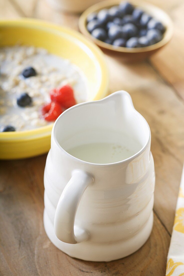 Small Pitcher of Fat Free Milk; Oatmeal