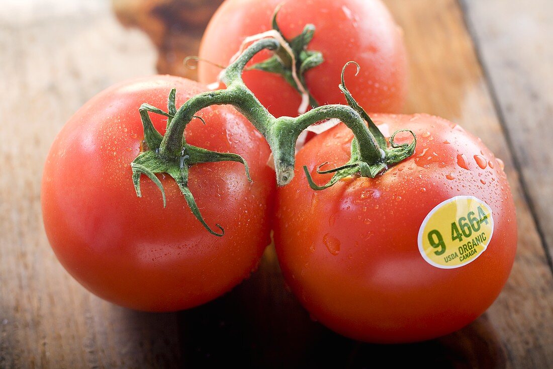 Three Organic Tomatoes on the Vine