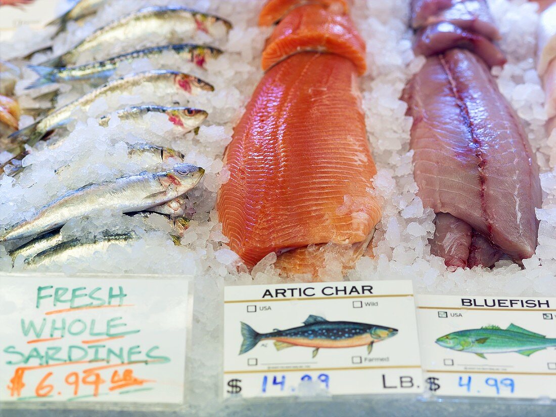 Sardines, Artic Char and Bluefish on Ice at a Seafood Market