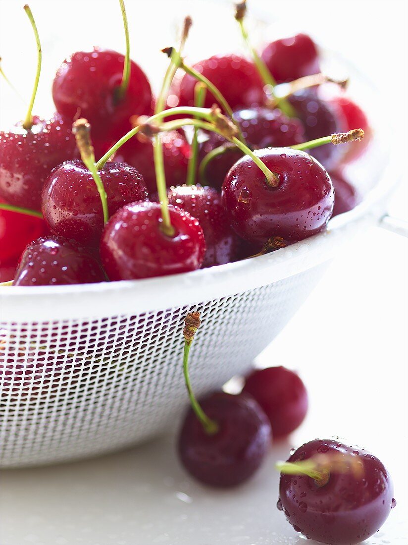 Freshly Washed Cherries in a Colander