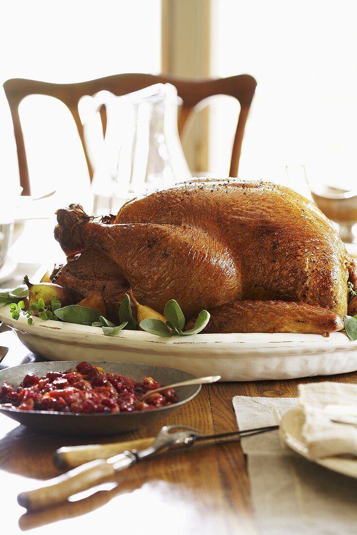 Gebratener Truthahn mit Cranberrysauce zu Thanksgiving (USA)