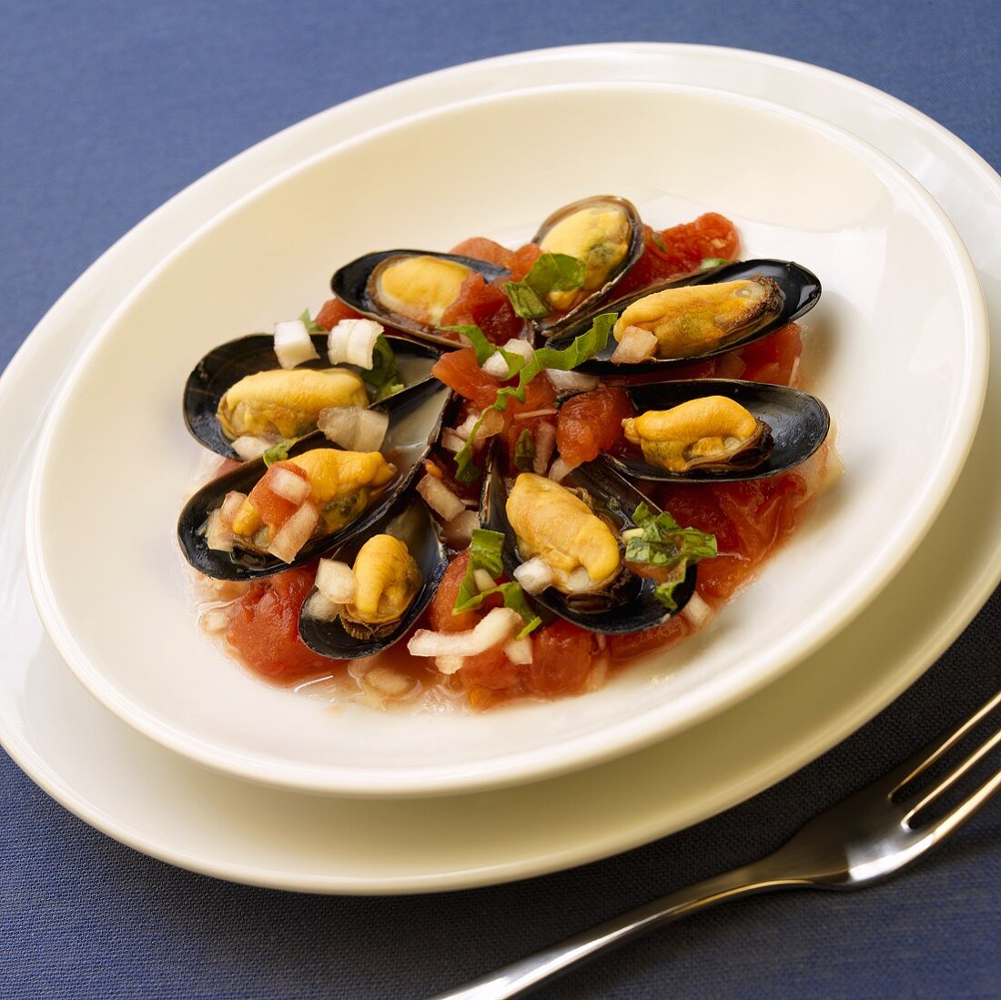 Mussels with Chunky Tomato Sauce on a White Plate
