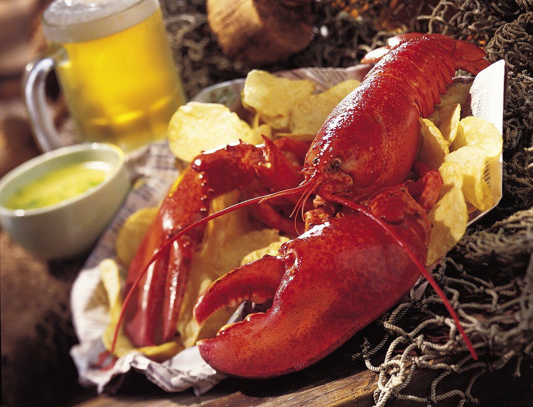 Lobster with Chips and Beer on Netting