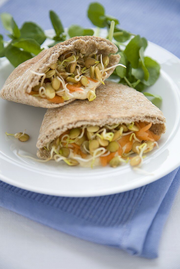 Humus and Sprout Filled Pita Bread