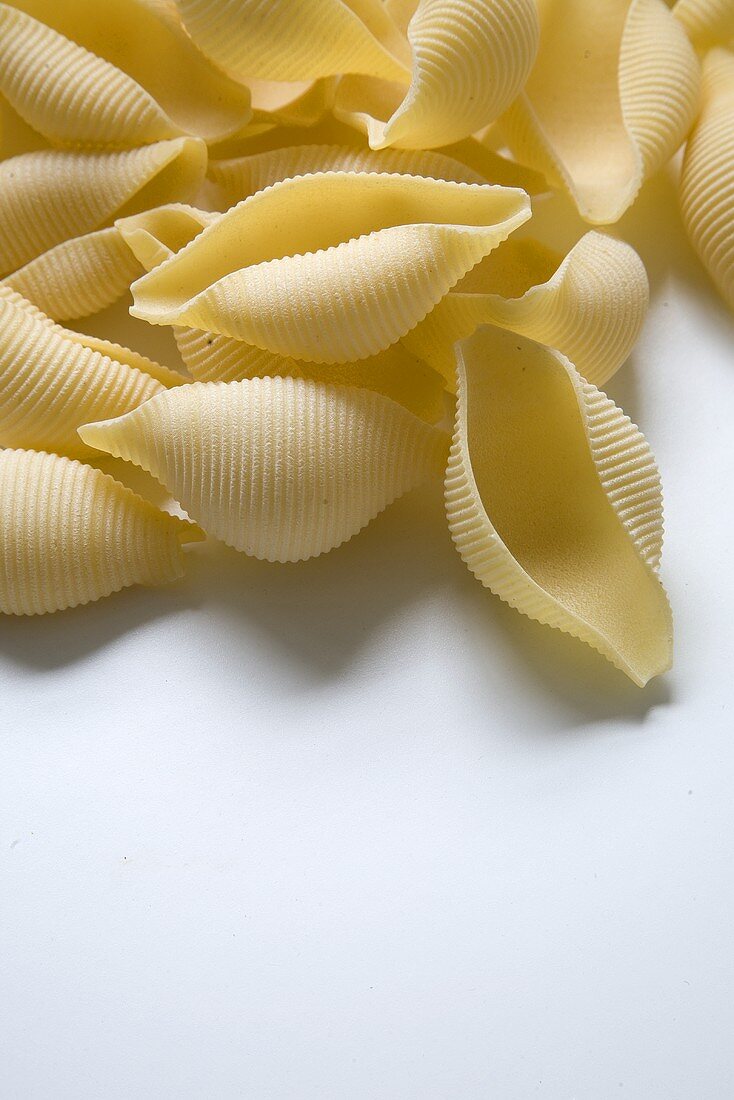 Uncooked Pasta Shells