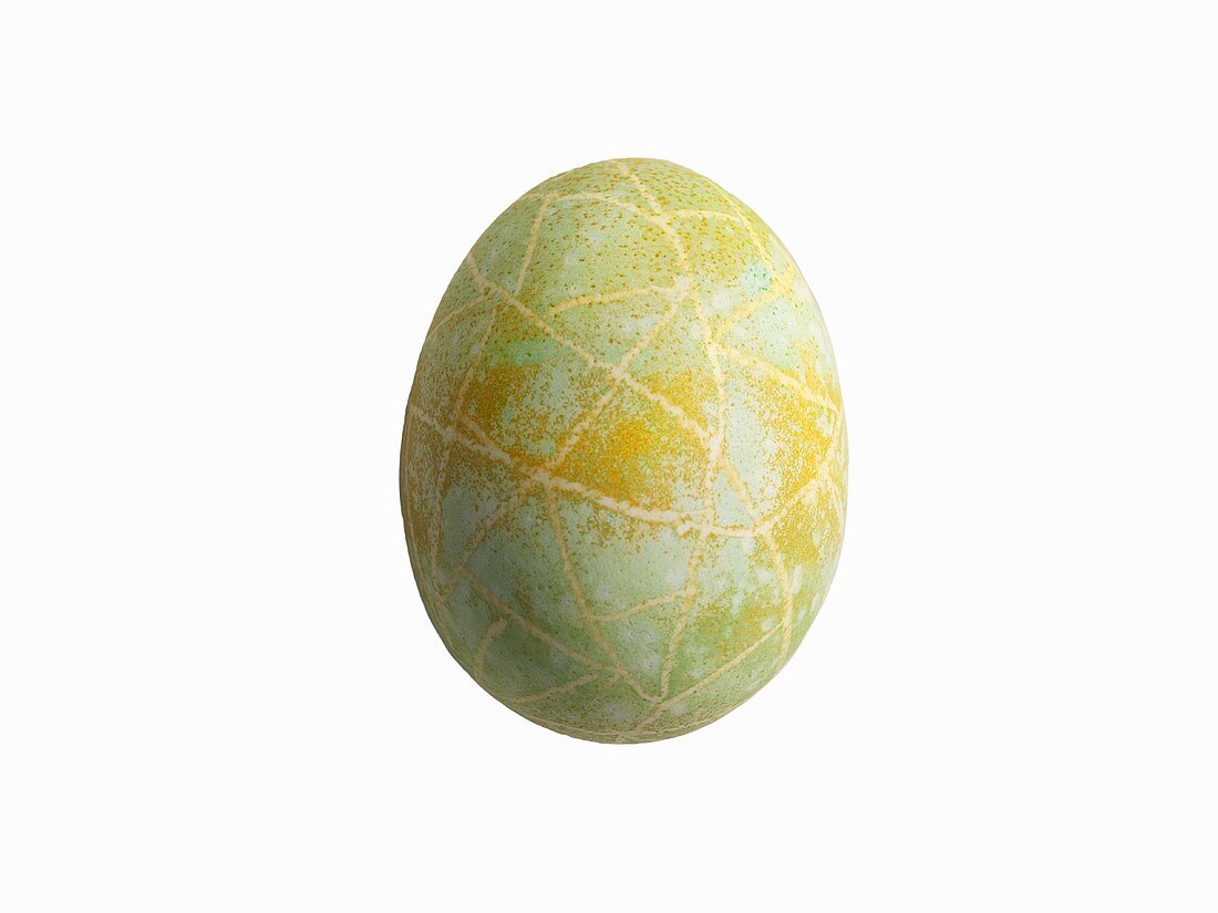 Decorated Easter Egg on White