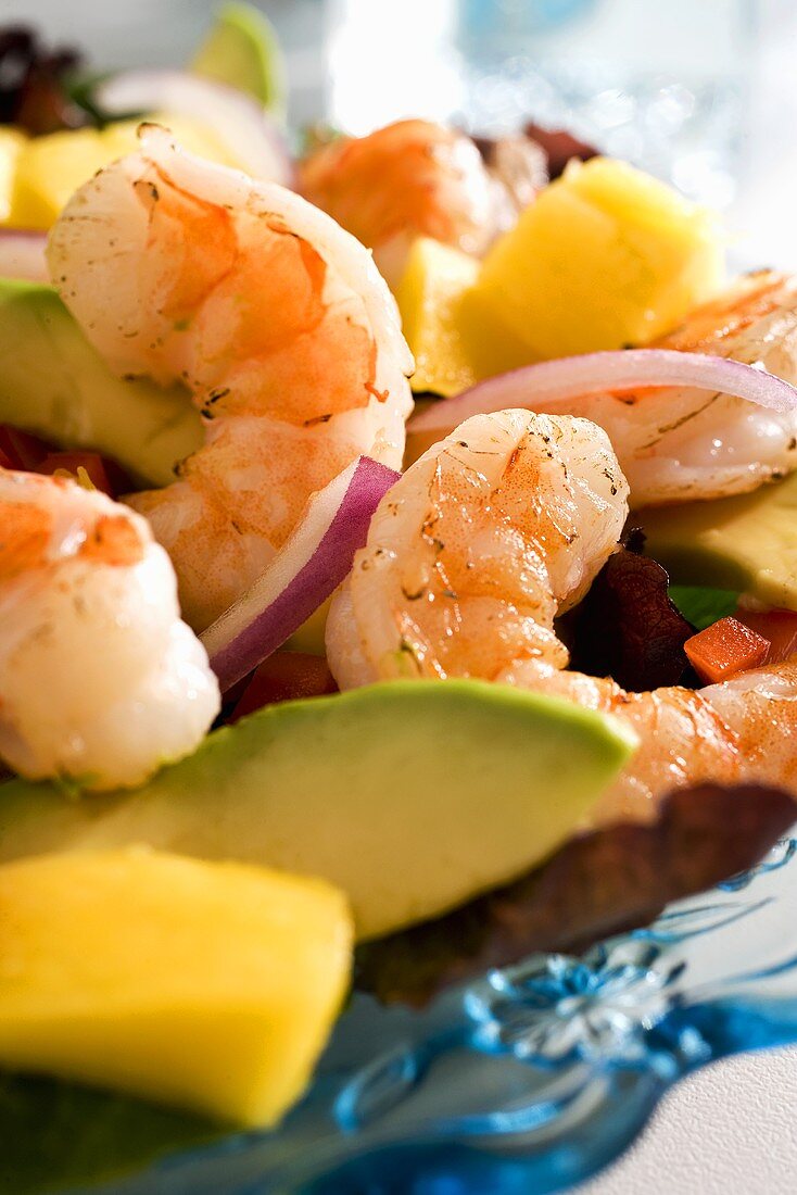 Shrimpssalat mit Avocado und Mango (Close Up)