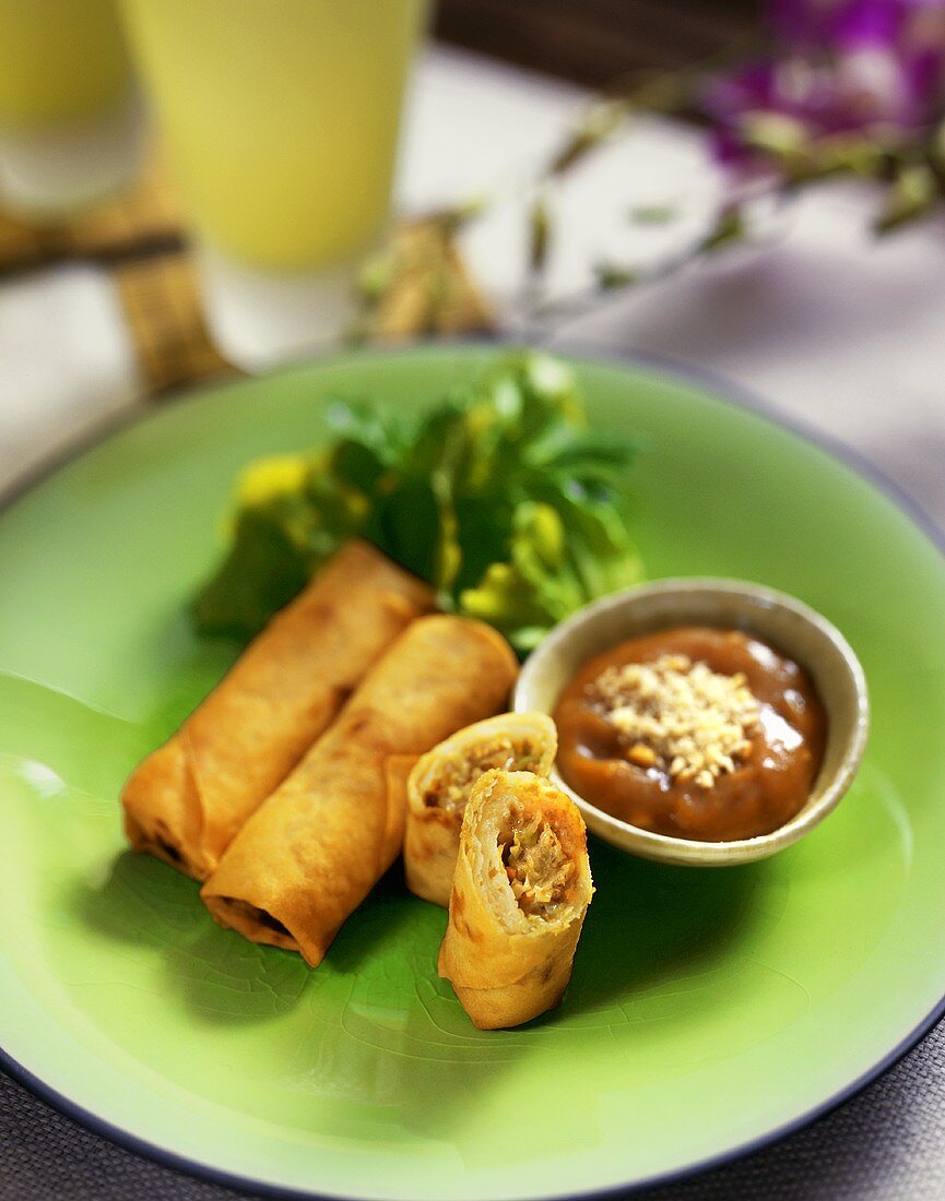 Mini Spring Rolls with Dipping Sauce