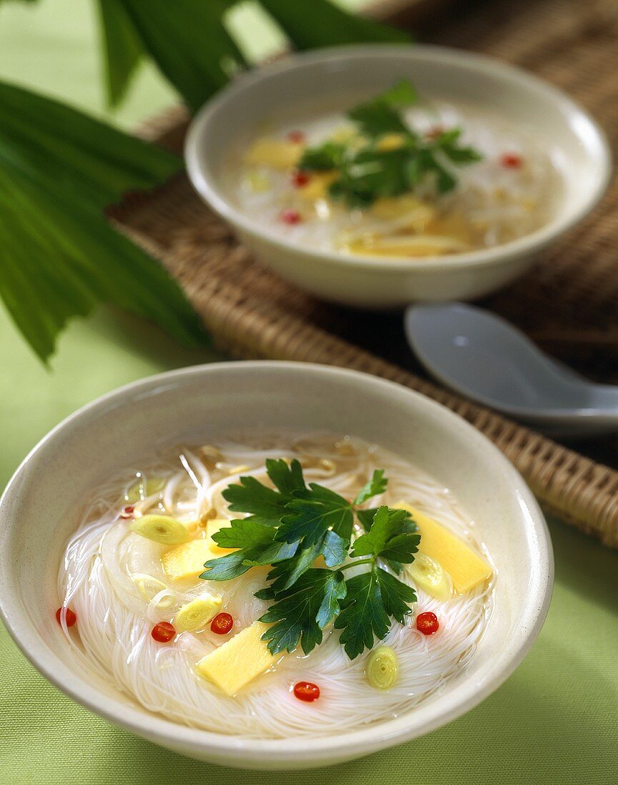 Vietnamese Noodle Soup