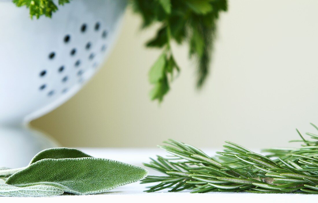 Fresh Herbs; Rosemary and Sage