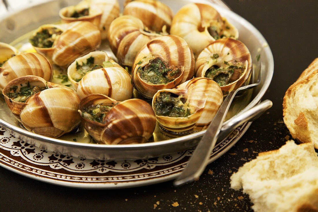 Escargot with Garlic Herb Butter; Bread