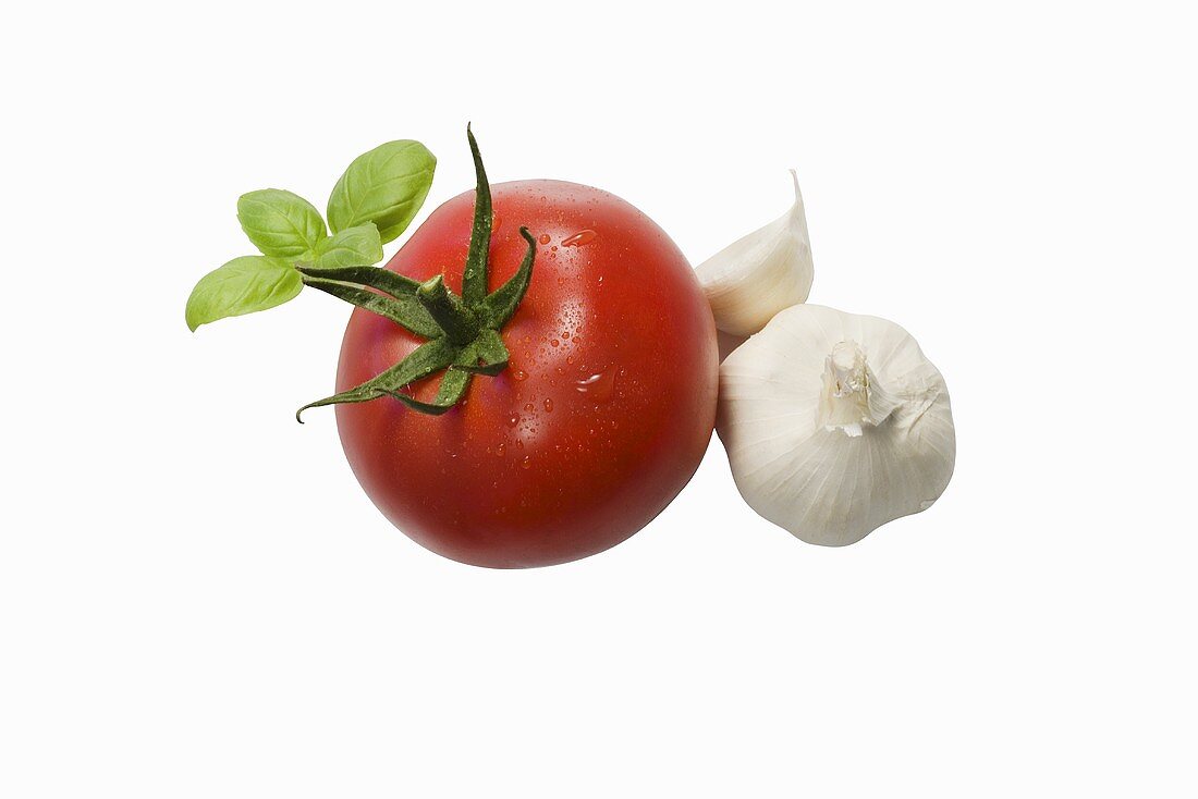 Tomate, Knoblauch und Basilkum auf weißem Untergrund