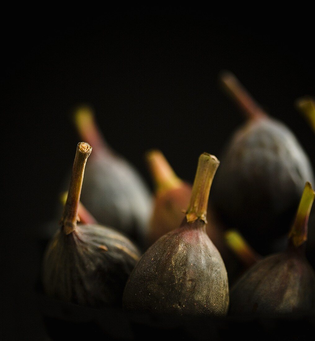 Fresh Figs