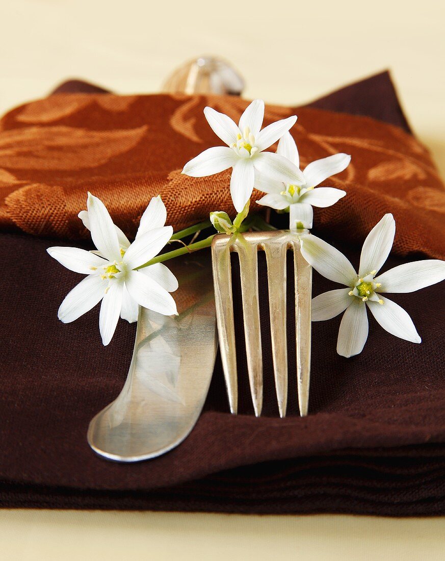 Place Setting with Brown Napkin and White Flowers