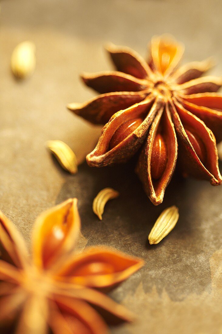 Star Anise Pods