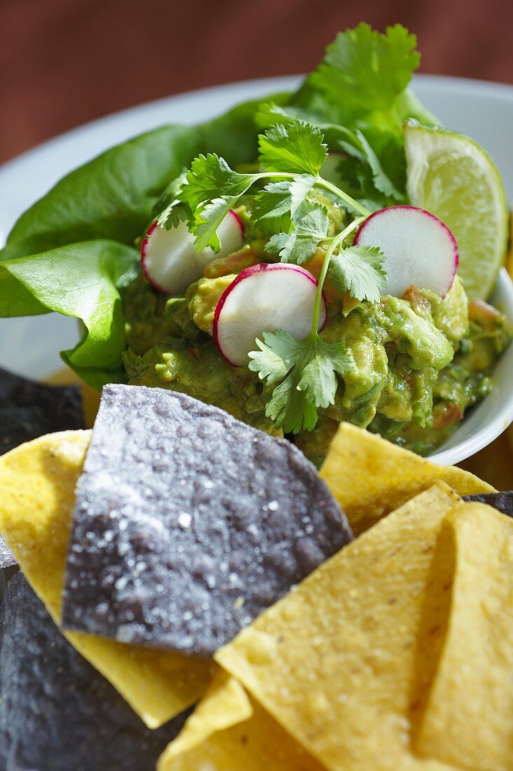 Bowl of Guacamole with Corn Chips