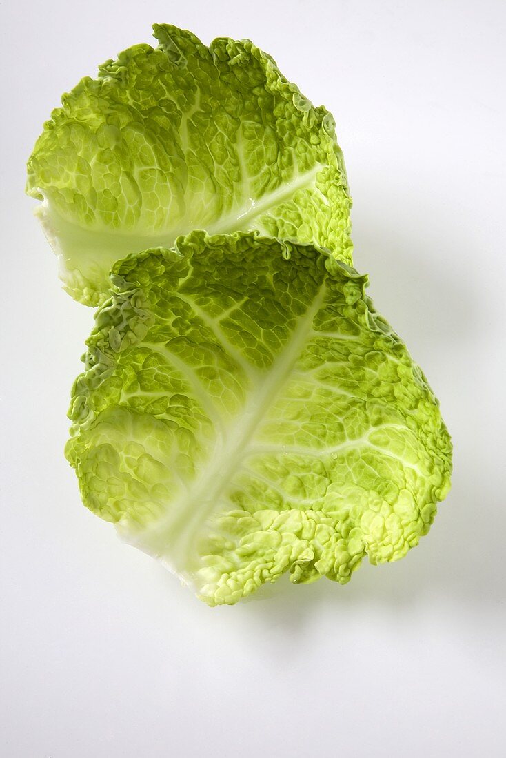 Two Fresh Savoy Cabbage Leaves on White