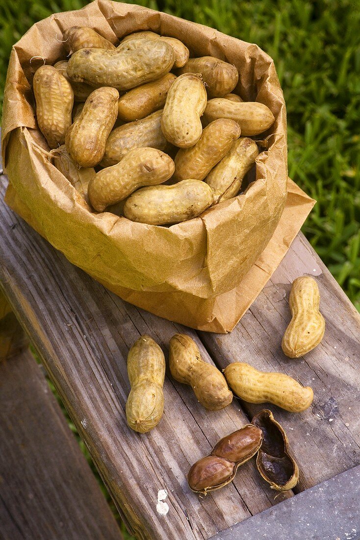 Bag of Boiled Peanuts; Outdoors