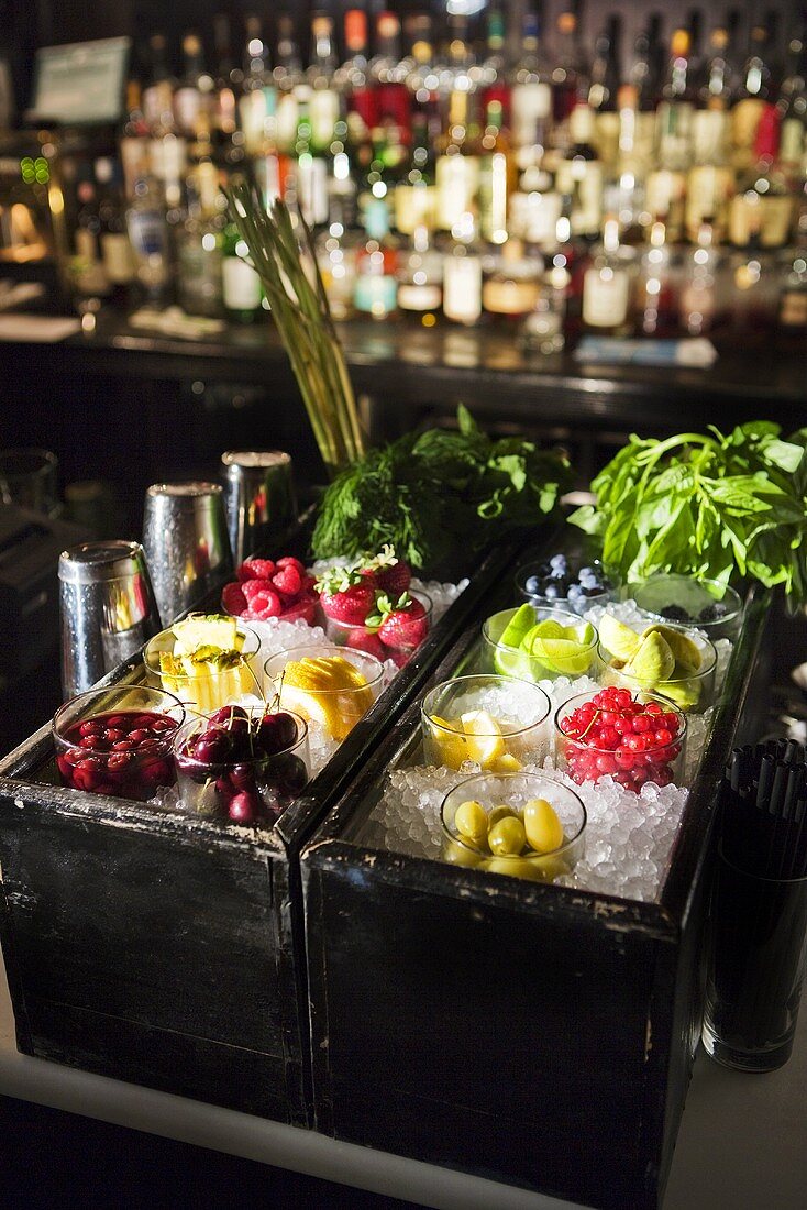 Bar Station with Garnishes on Ice – License Images – 688094