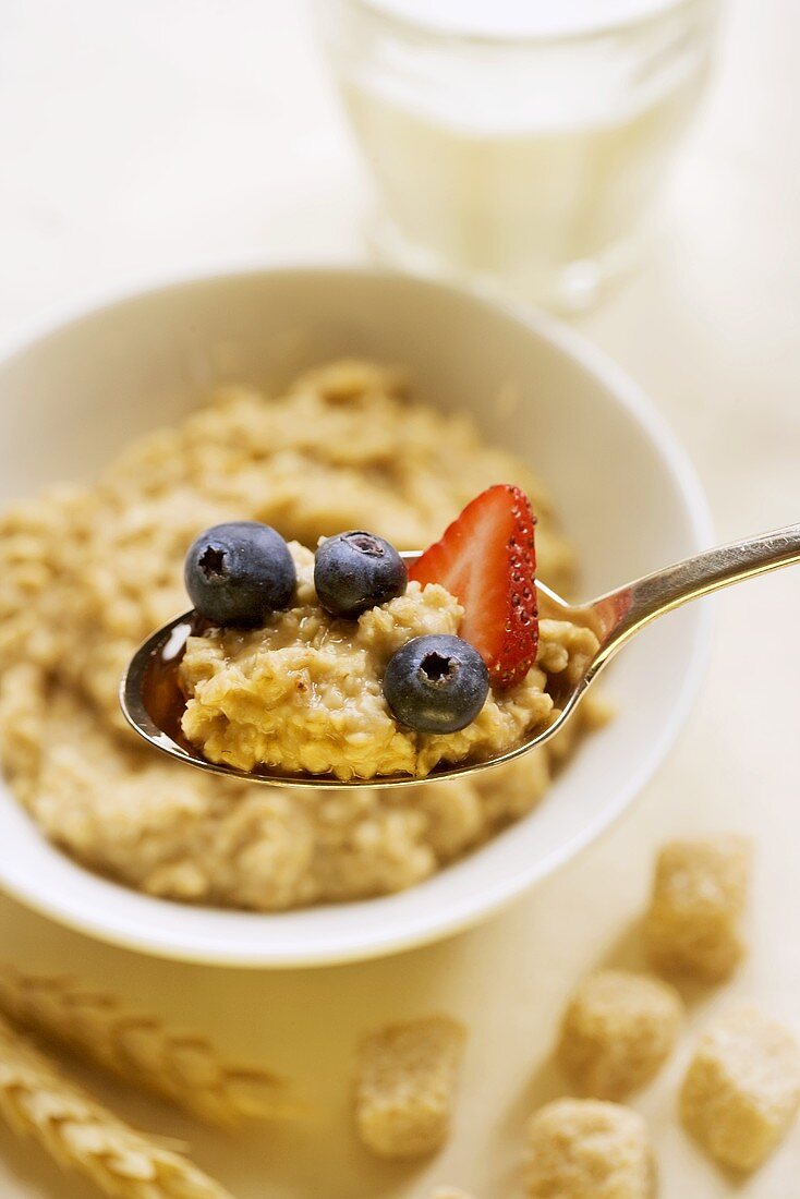 Spoonful of Oatmeal with Fruit; Bowl of Oatmeal