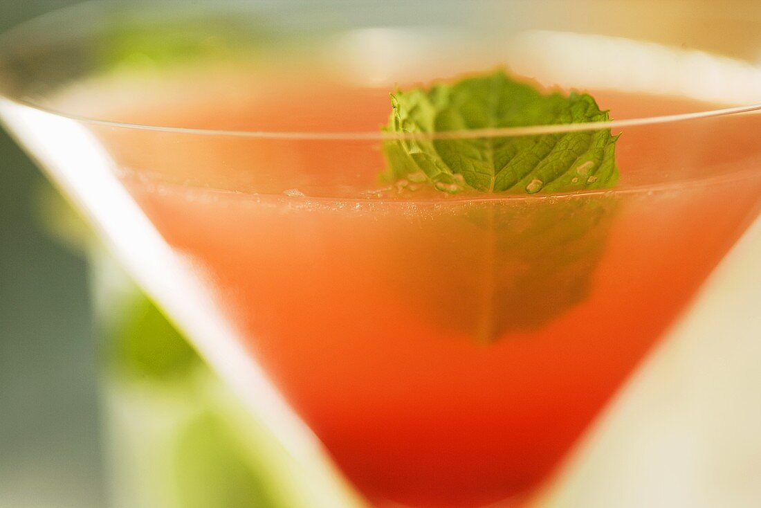 Cocktail with Mint Garnish