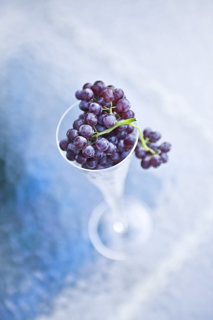 Champagne Grapes in Champagne Flute; From Above