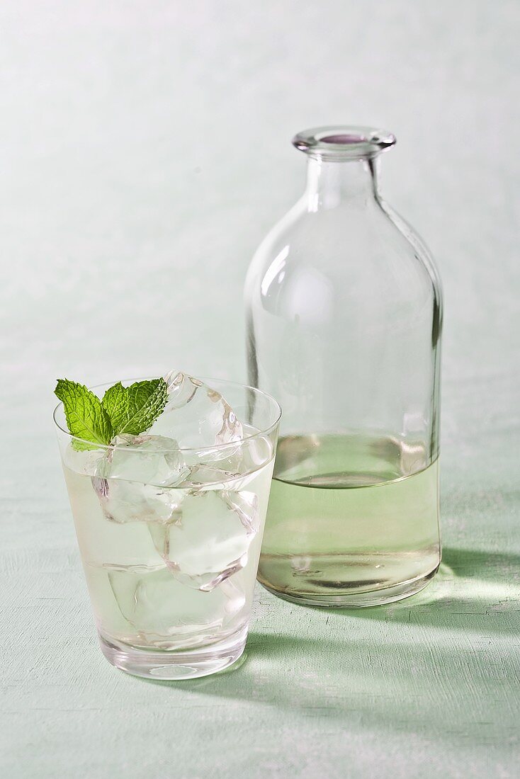 Vodka Gimlet with Mint Garnish