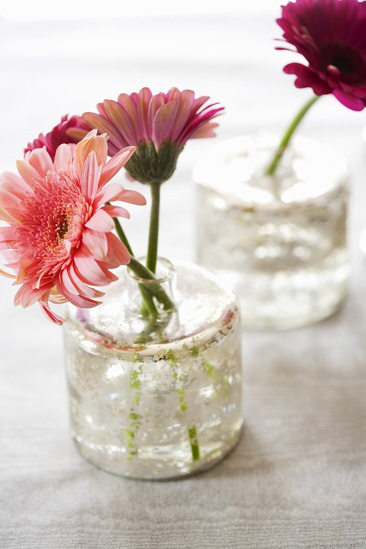 Pinkfarbene Gerbera in Glasvasen