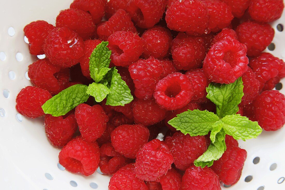 Fresh Raspberries and Mint in White Colander 