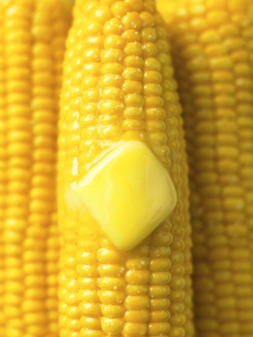 Hot Buttered Corn Cobs; Close Up