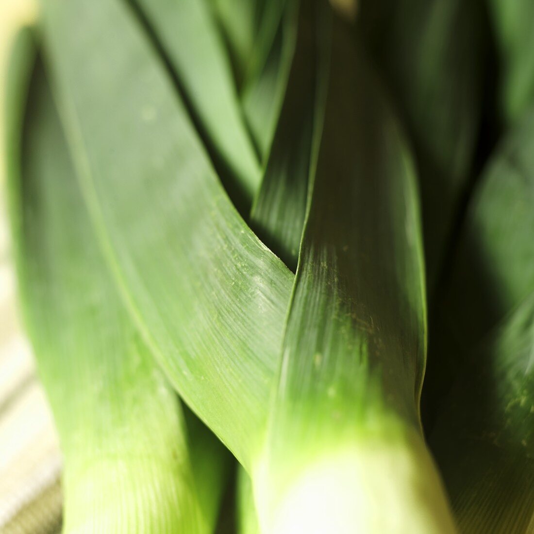 Fresh Leeks