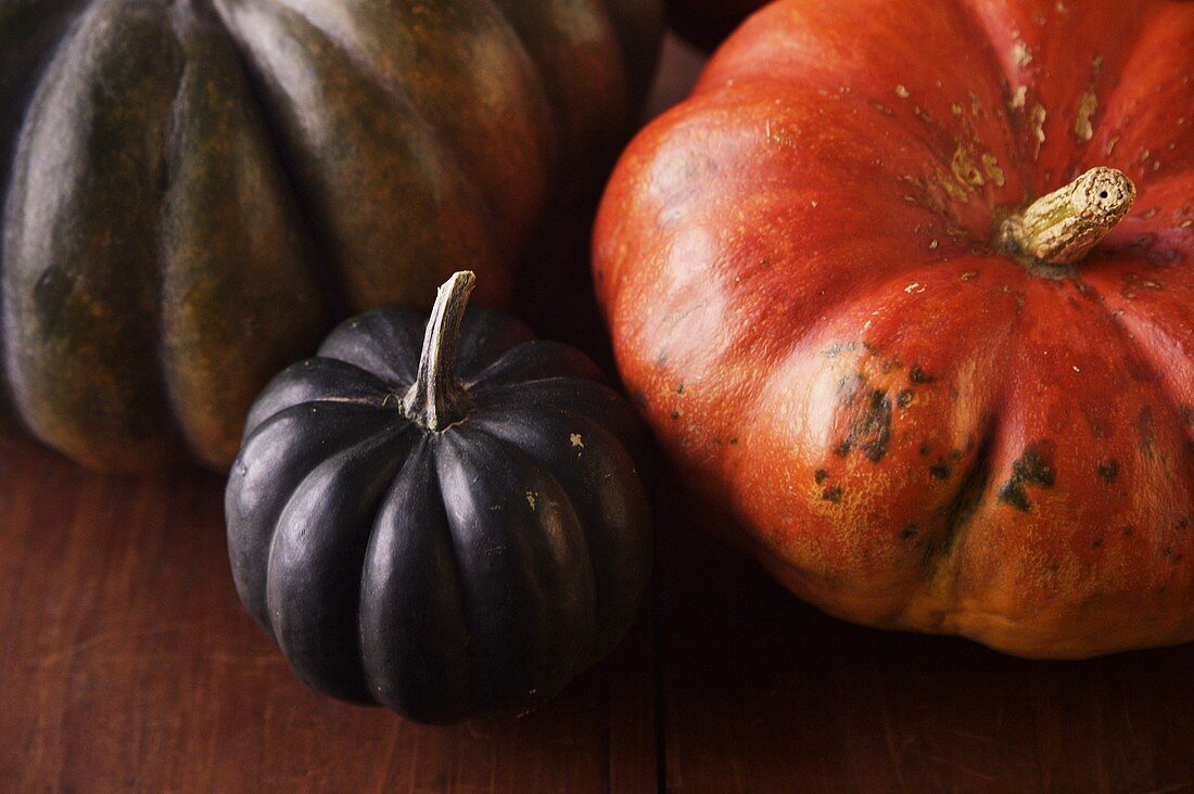 Fall Squash