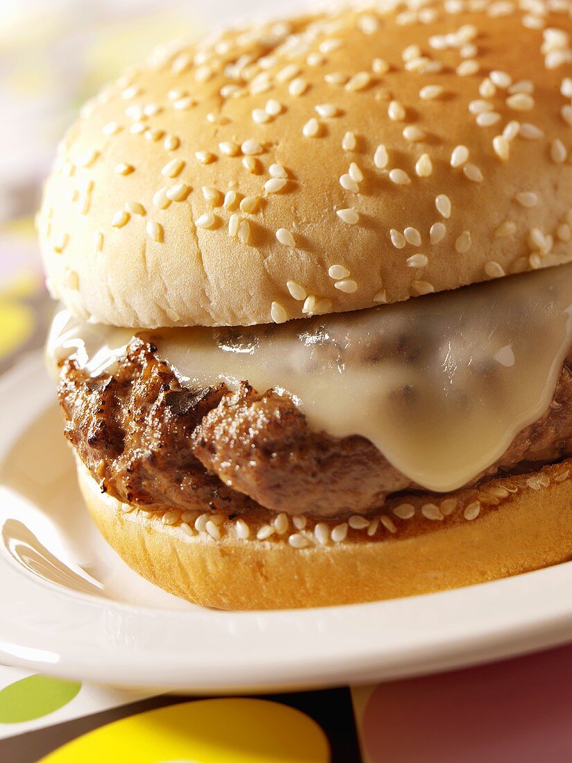 Cheeseburger on Sesame Seed Bun