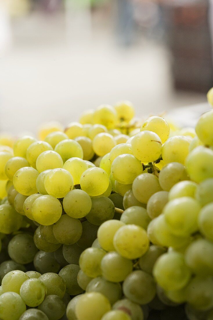 Green Grapes