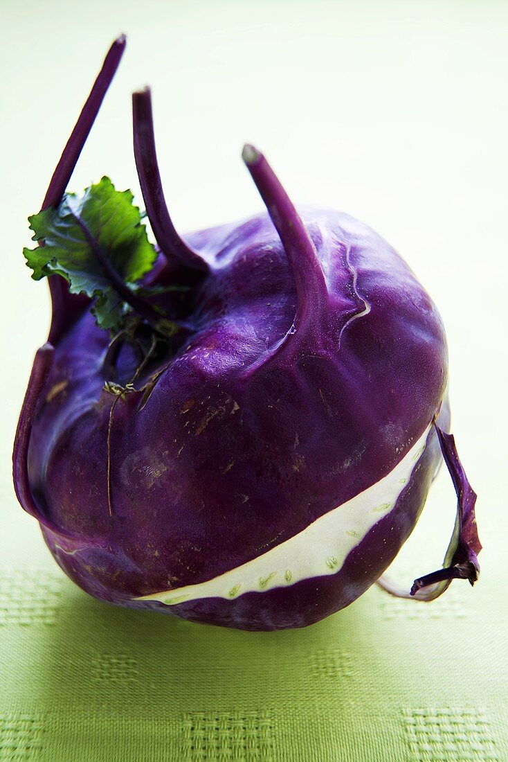 Ein violetter Kohlrabi