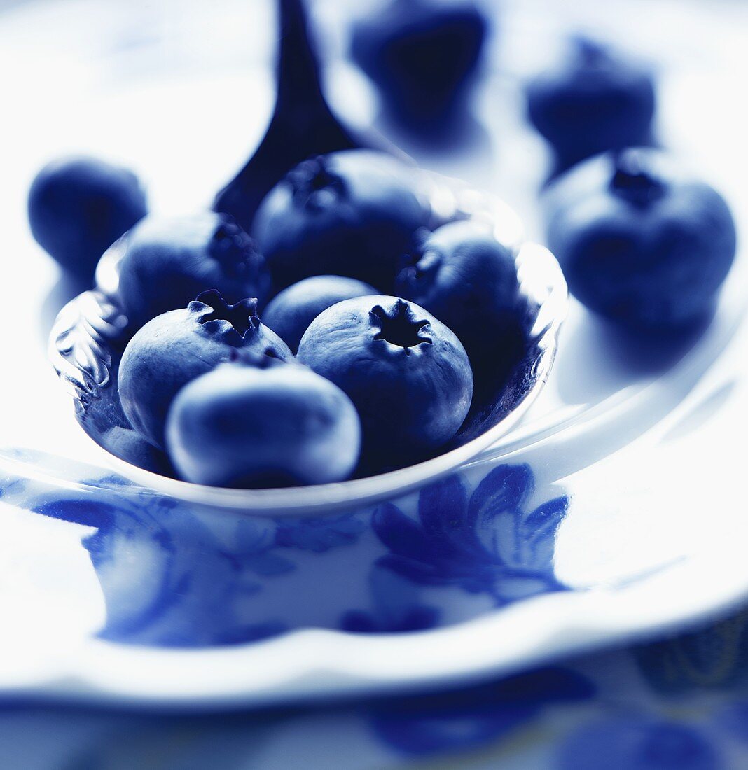 Fresh Blueberries on Spoon Close Up