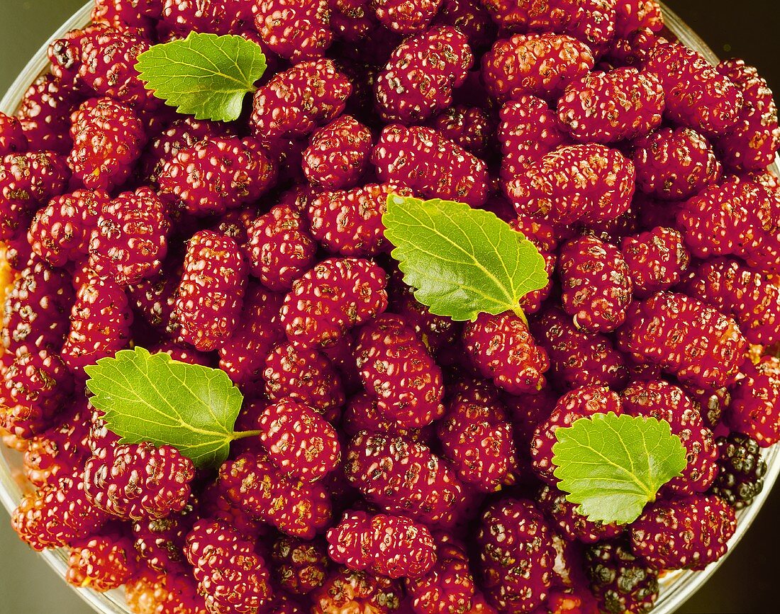 Bowlful of Whole Mulberries 