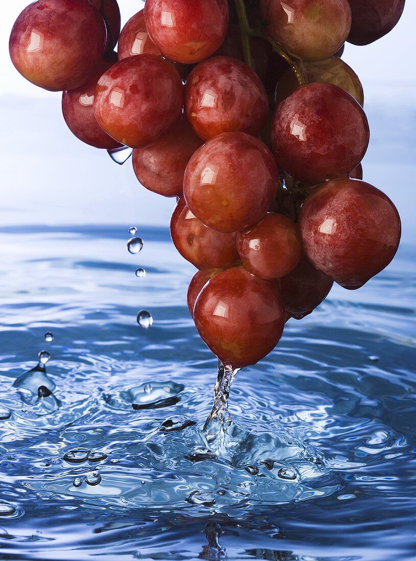 Rote Trauben über Wasseroberfläche