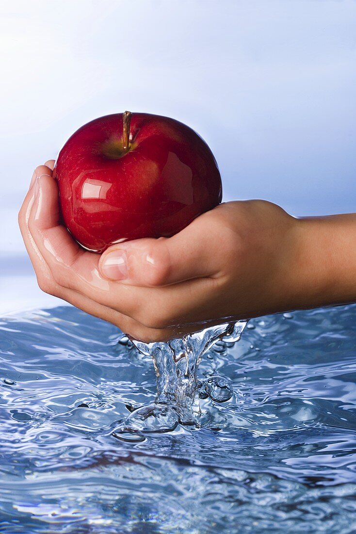 Child's Hand Scooping an Apple From Water