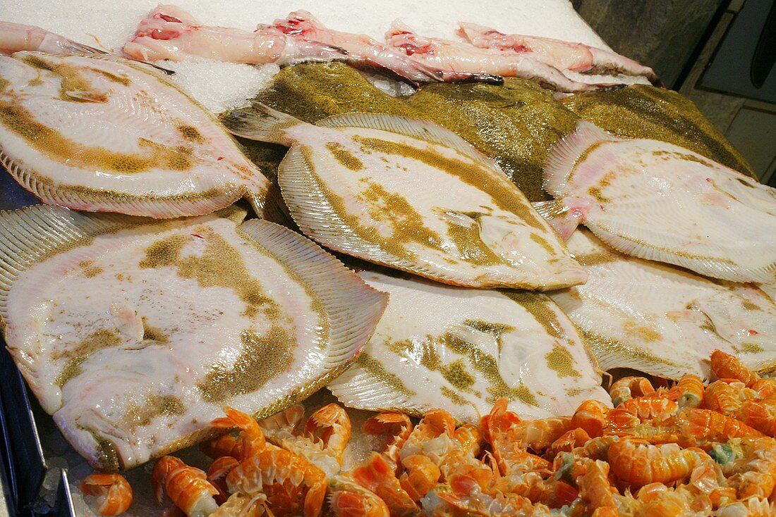 Flounder on Display at Market in Venice Italy