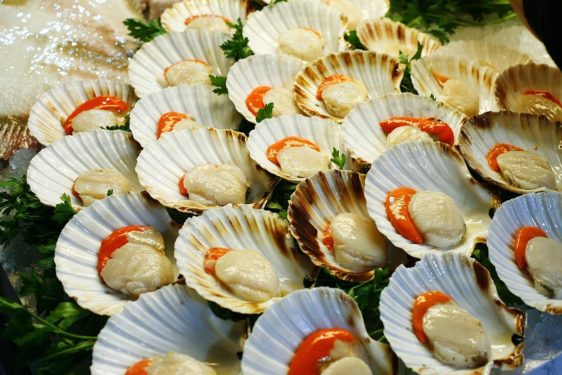 Whole Scallops on Open Shell; Fish Market; Venice Italy