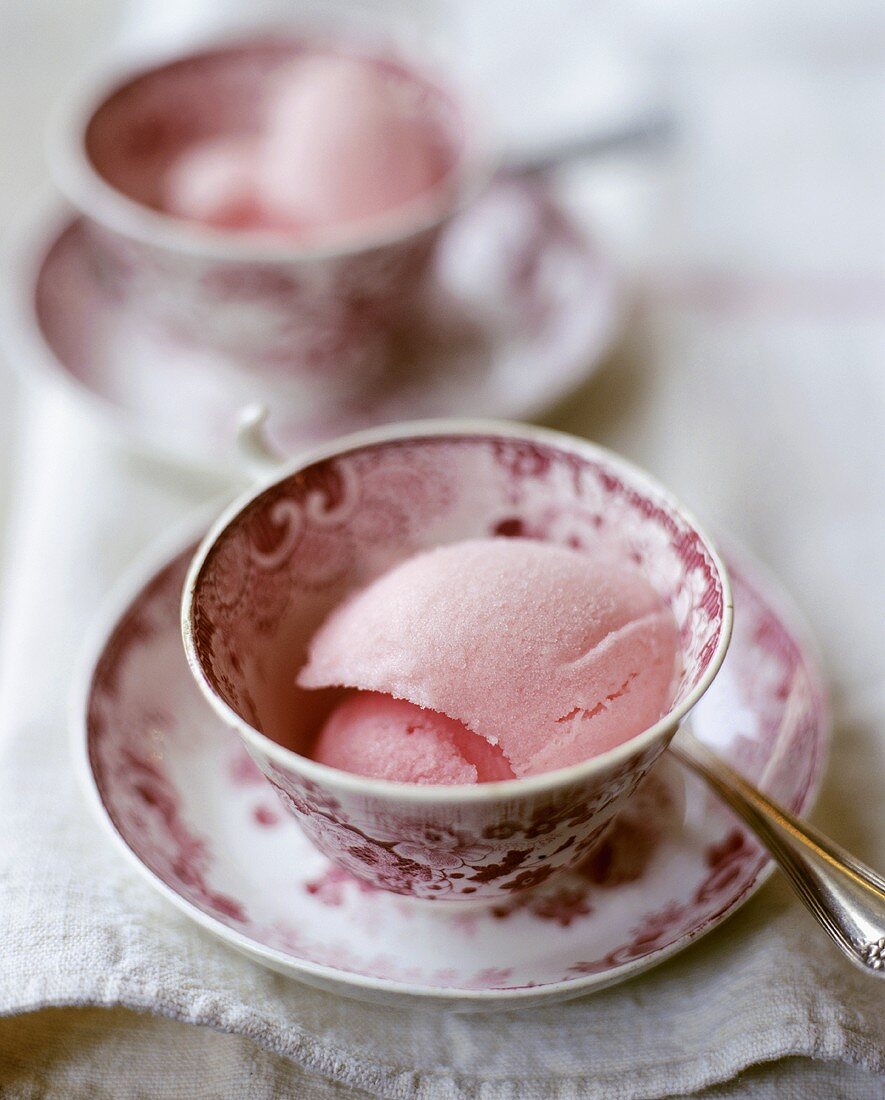 Rhubarb Sorbet in Tea Cups