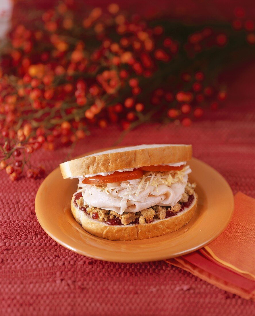 Turkey, Stuffing and Cranberry Sandwich on an Orange Plate