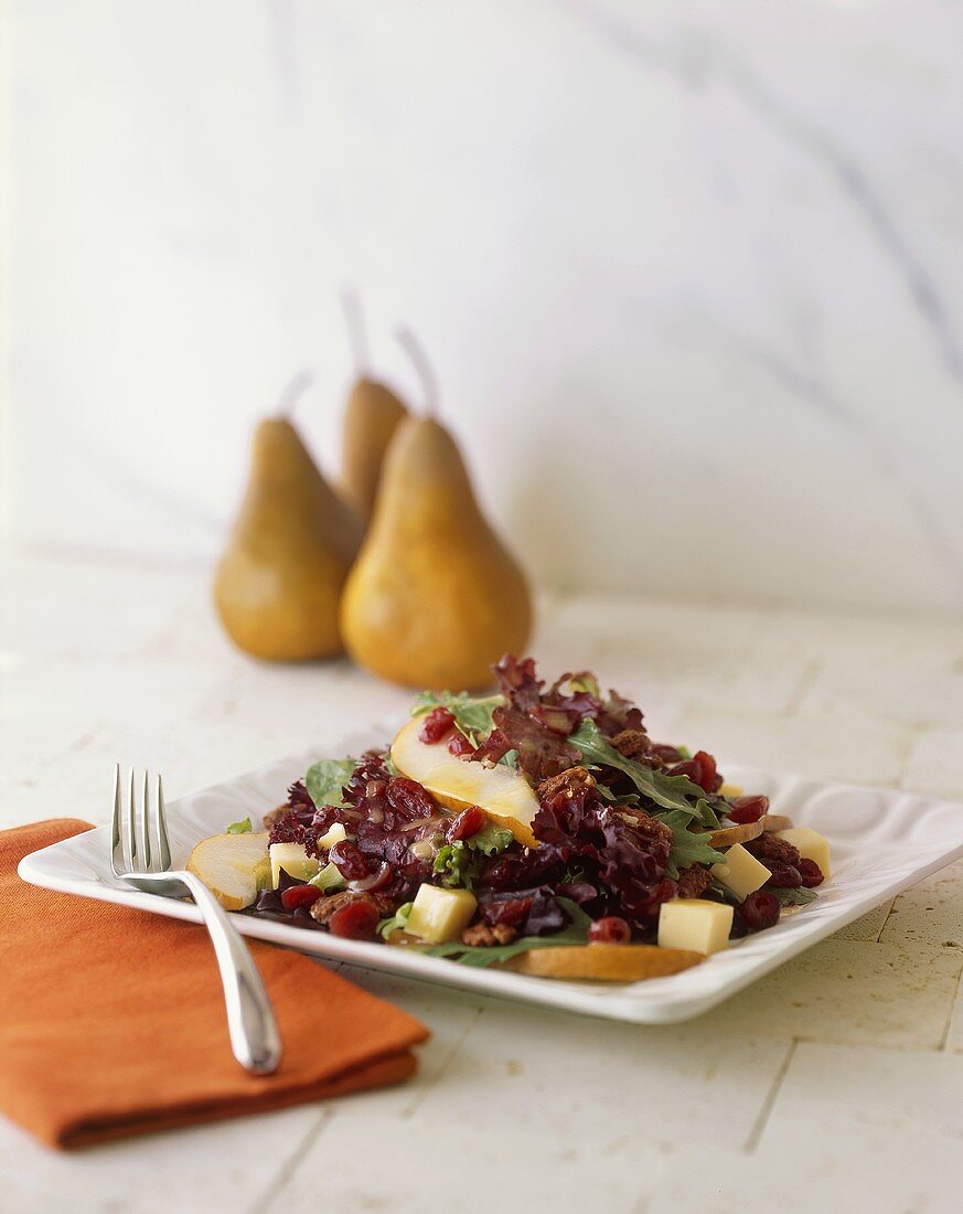 Blattsalat mit Birnen und Cranberries